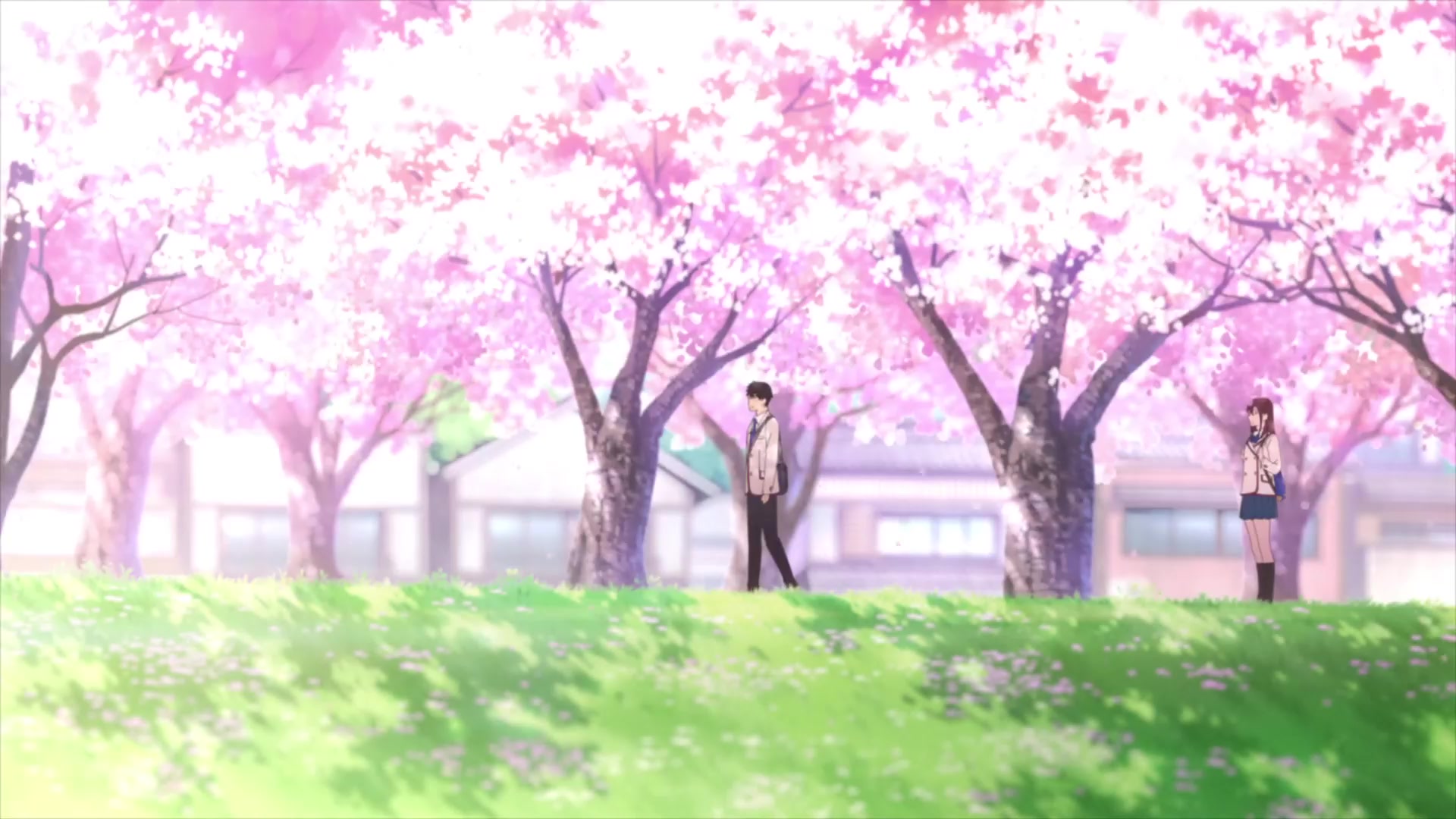 [Tsukyio Editing Resources] I Want to Eat Your Pancreas Raw Clips (129) (tsukyio.com).mp4